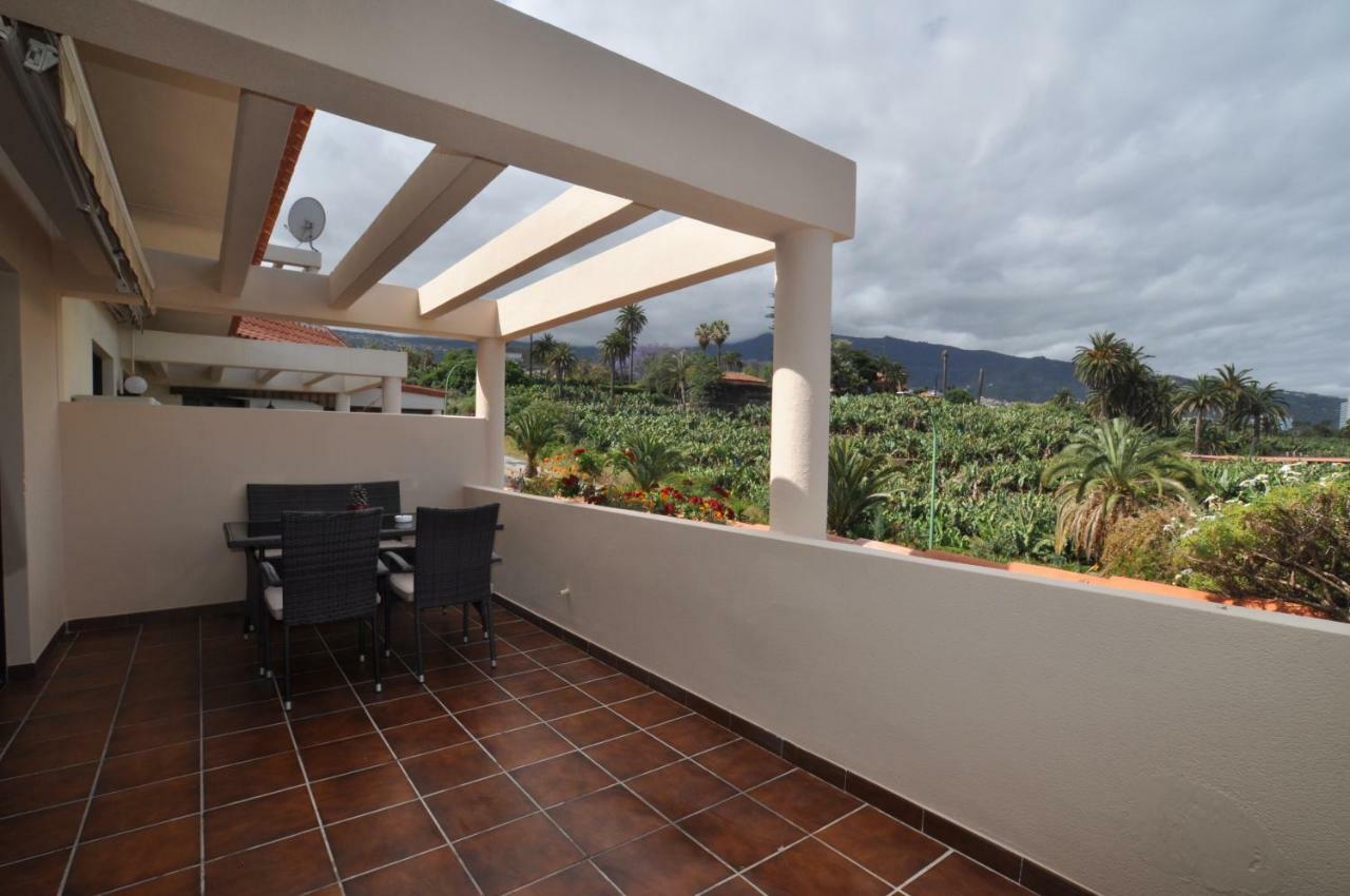 Top Terrassen Wohnungen, Direkt am Strand, beheizter Pool, WIFI free, free parking Puerto de la Cruz  Exterior foto